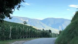 Weindoku: Unterwegs in Südtirol - Weingut Peter Sölva & Söhne