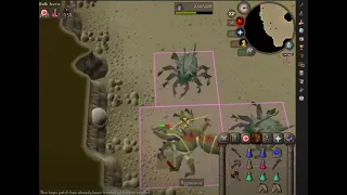 OSRS KALPHITE QUEEN flinch IRONMAN SOLO LURE ACHIEVEMENT DIARY EASY