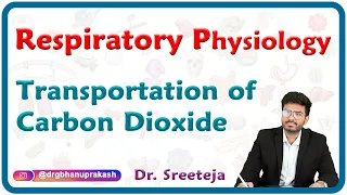 Transportation of Carbon Dioxide : Respiratory physiology USMLE Step 1