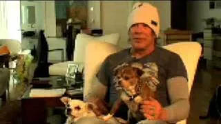 PETA's Exclusive Interview With Mickey Rourke