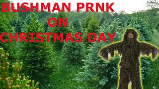 BUSHMAN SCARE PRANK ON CHRISTMAS DAY!