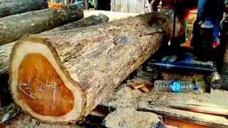 TEAK and MAHOGANY sawmills ||Portable sawmills ASMR.