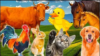 Animal sounds: cow, chicken, cat, pig, elephant, sheep - Herbivores, familiar animals