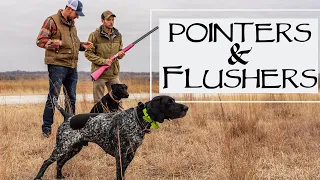 The Only Way To Hunt A Flushing Dog With A Pointer