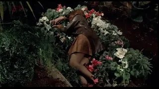 Dany Carrel from Le pacha (Death scene 250)