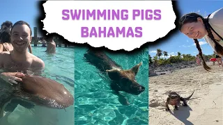 Exploring the Exuma Cays 🌞Famous Swimming Pigs, Nurse Sharks & More 🌞 Honeymoon 2023