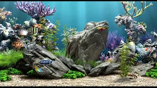 Relaxing Fish Tank Aquarium with Calm Bubbling Water | No Music | 2 Hours | HD