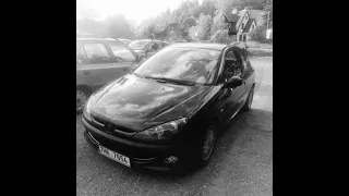 Peugeot 206 2.0 hdi project tuning