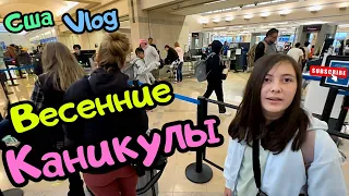 США VLOG ВЕСЕННИЕ КАНИКУЛЫ✈️