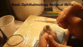 Basic Ophthalmology Surgical Skills Workshop