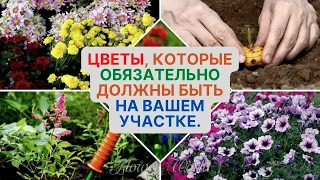 Цветы, которые обязательно должны быть на вашем участке.🌼😮