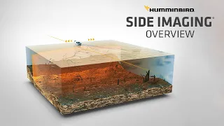 What is Side Imaging and How to Read It | Humminbird