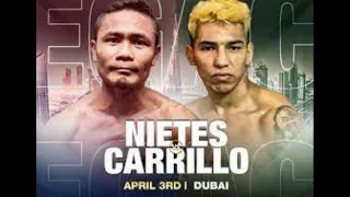 Donnie Nietes VS Pablo Carillo Full Fight Highlights