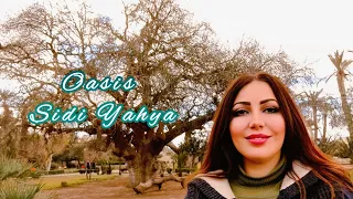 مشيت زرت واحة سيدي يحيى بنيونس #vlog