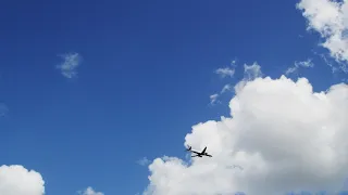 airplane across 4k Free Stock Video