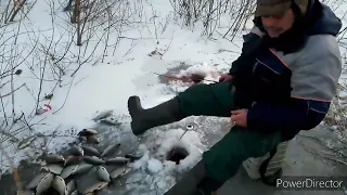 Ловля карася зимой на Лоевском водохранилище