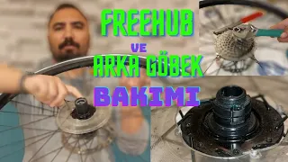 Freehub ve Arka Göbek Bakımı