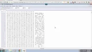 Using a Hex Editor