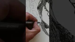 Drawing Tree Bark Texture in Ink Pen