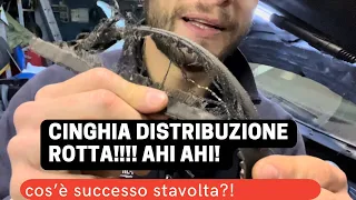 Si è rotta la cinghia distribuzione! Perché?