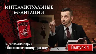 Интеллектуальные медитации. Видеокомментарий к Психософическому трактату: выпуск 1