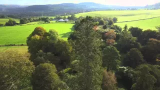 Crainn na hÉireann (The Trees Of Ireland) Series Trailer