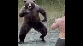 Joe Rogan vs Grizzly Bear