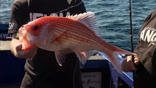 IFISH - Fishing Kangaroo Island