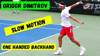 Grigor Dimitrov 🔥🎾 one handed backhand 🔥🎾 slow motion 🎾 ATP tennis 2023 🎾