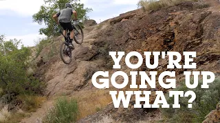 Mountain Bike POWER Climbs - Vital RAW with Braydon Bringhurst