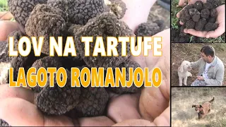 TARTUFI - LAGOTO ROMANJOLO (emisija PROMAJA 2007.)