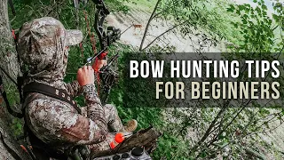 Bow Hunting Tips for Beginners