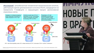 Дозы и режимы введения ИКТ: оценка в исследованиях 1-3 фазы. Ипилимумаб, Ниволумаб