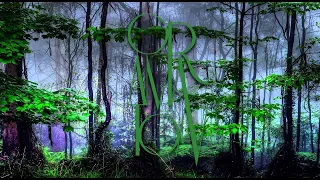 Forest Dark Psy Trance The Underground Never Dies (Suburbia Mix)