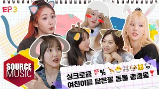 [📺Reality] GFRIEND's MEMORIA in Yangyang - EP.3 |싱크로율 💯%여친이들 닮은꼴 동물 총출동❣️🦒🐣🐰🐶🐱🐼