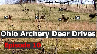 Ohio Deer Drives with a Bow Deer Down! Episode 10 Whitetail Archery Deer Drives Self FIlmed