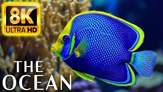 The Ocean 8K VIDEO ULTRA HD - Sea Animals for Relaxation, Beautiful Coral Reef Fish in Aquarium #1