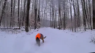 Northern Michigan Snowmobile Conditions