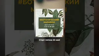 Хочешь научиться рисовать ботанические иллюстрации? #shorts #стоки #2023