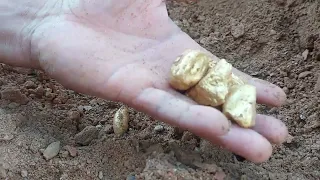 wow amazing day! found a lot of gold under stone near foothills on million years -gold miner excite