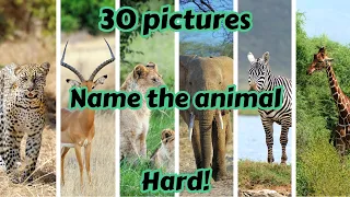 Name The Animal Quiz - Hard