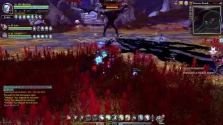 [Dragon Nest NA] Pyromancer/Saleana