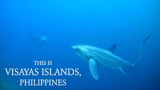 This is the Visayas Islands - Philippines