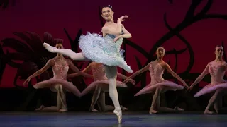 Don Quixote – Cupid Variation (Anna Rose O'Sullivan, The Royal Ballet)