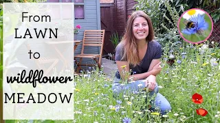 I Planted A Wildflower Meadow 🌼🐝🦋| Amazing Lawn Transformation | From Seeds to Blooms