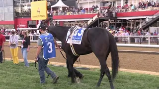 Preakness 146 5 15 2021 pre and post race video