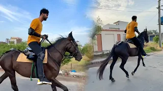 Finally Sabtain Ny  Horse Riding Seekh Li😍