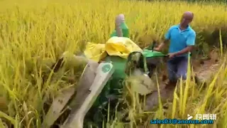 ANON high efficiency mini paddy corn harvester reaper binder combine harvester price