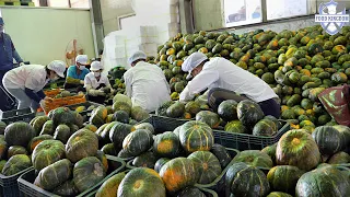 1시간 순삭! 음식공장의 대규모 생산 영상 몰아보기 / Large amount food making in korean food factory