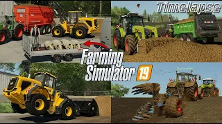 Transporting DEAD PIGS? 😱🐷 Spreading MANURE & PLOWING with @TheCamPeRYT! 🚜💨 | [FS19] - Timelapse #29